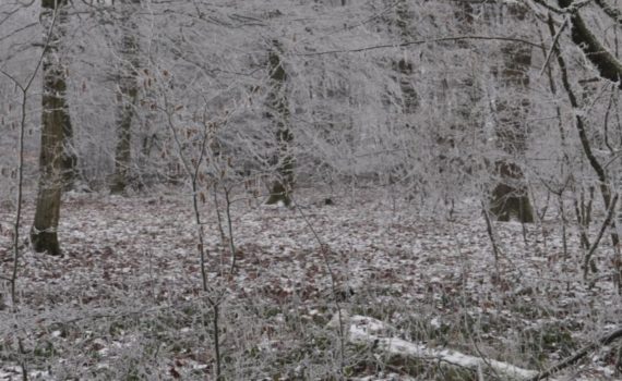 Jahresabschluss 2018